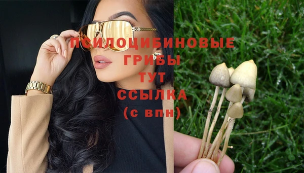 а пвп мука Абаза