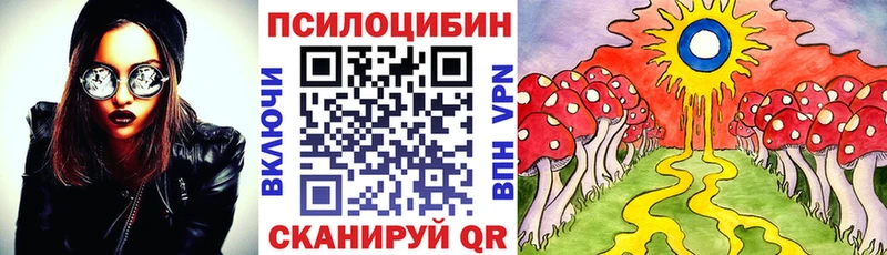 Псилоцибиновые грибы мицелий  цена   Кохма 